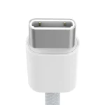 Recci Nature Dual Type-C Cable PD 60W - Image 2