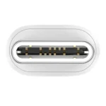 Recci Nature Dual Type-C Cable PD 60W - Image 3